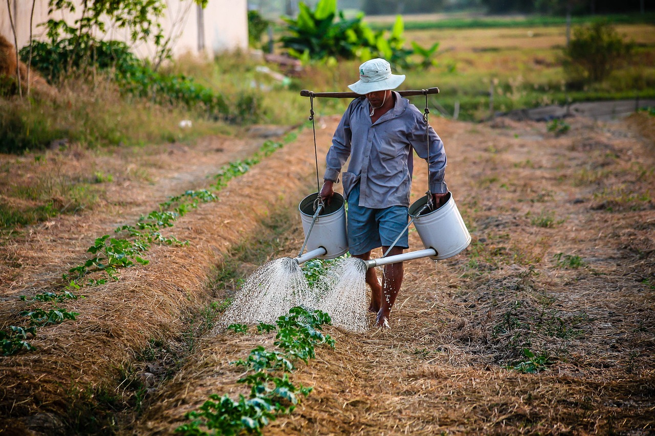 钟睒睒谈及农民不易时一度落泪，农业的艰辛与深情