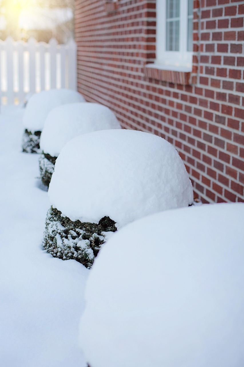 北京城区飘超大片雪花大雪与春花同框美翻了！